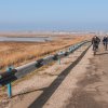 genichesk_141108_0012