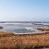 genichesk_141108_0015