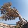 crete_2011_04_07