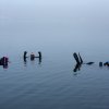 _MG_8557