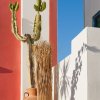 santorini_2011_06_15