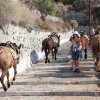 santorini_2011_08_15